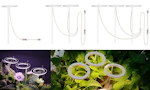 Angel Ring Grow Lights