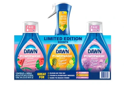 Dawn Powerwash Dish Kit