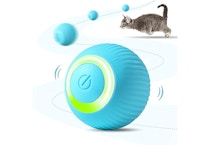 Interactive Cat Ball