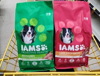 dollar general iams dog food 2022 sv 1667836229 1667836229