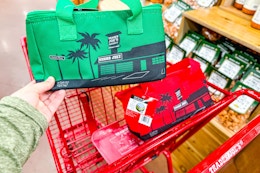 Trader Joe's Mini Cooler Bags, Only $3.99 in Stores While Supplies Last card image