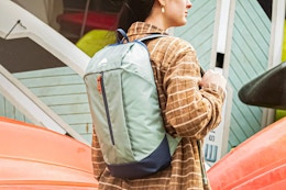 Run, Don't Walk — Walmart Has This Ozark Trail Day Pack for Just $4.97 card image
