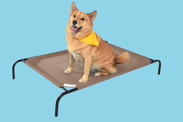 Coolaroo Cooling Elevated Dog Bed, Under $25 on Amazon (Reg. $45) card image