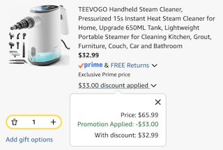 steam cleaner