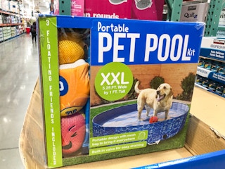 pet pool