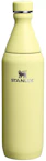 Stanley Slim Bottle