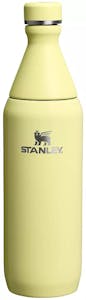 Stanley Slim Bottle