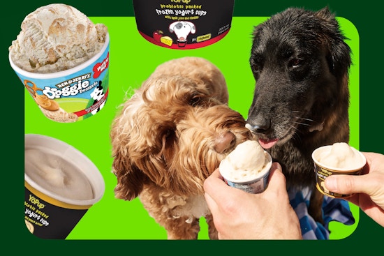 dog ice cream and dogs eating some