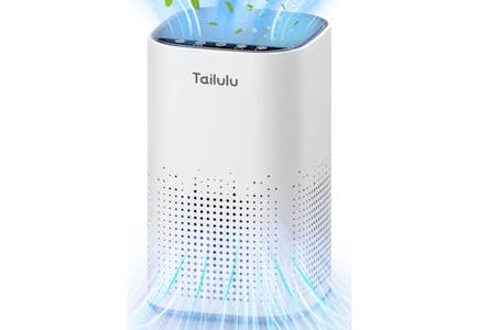 Large Room Air Purifier