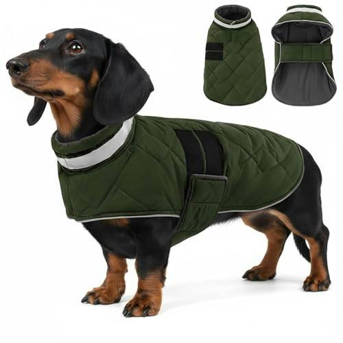 Dog Winter Coat