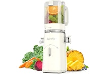 Cold Press Juicer
