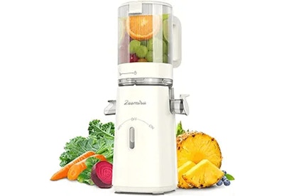 Cold Press Juicer