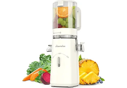 Cold Press Juicer