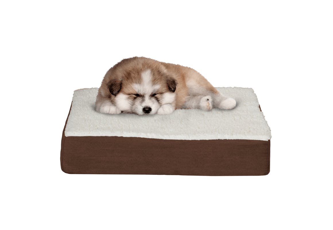 Orthopedic Memory Foam Dog Bed