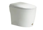 Hands-Free Toilet