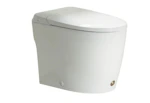 Hands-Free Toilet