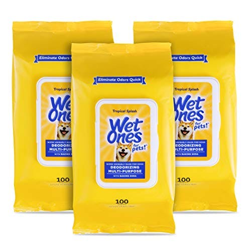 Wet Ones Dog Wipes 3-Pack