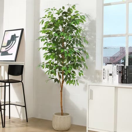 Artificial Ficus Tree