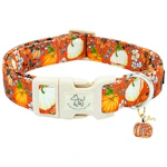 Halloween Dog Collar