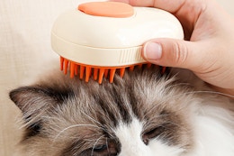 Get a Cat Steam Brush on Amazon for as Low as $6.99 card image