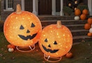 bcp pumpkins