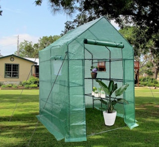greenhouse outdoors