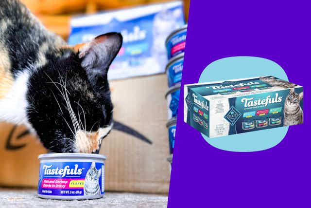 Blue Buffalo Tastefuls Cat Food 12-Pack, $12.95 for Amazon Pet Day card image