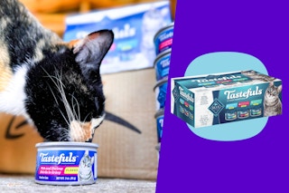 blue buffalo tastefuls