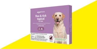 amazon flea and tick featured image 1679676677 1679676677