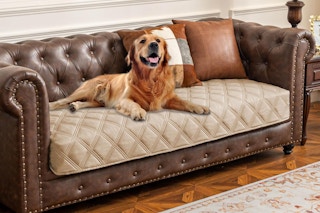 A dog sits on a beige blanket with a stitched diamond pattern that covers and protects a leather couch.