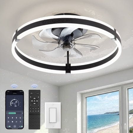 Ceiling Fan with Light