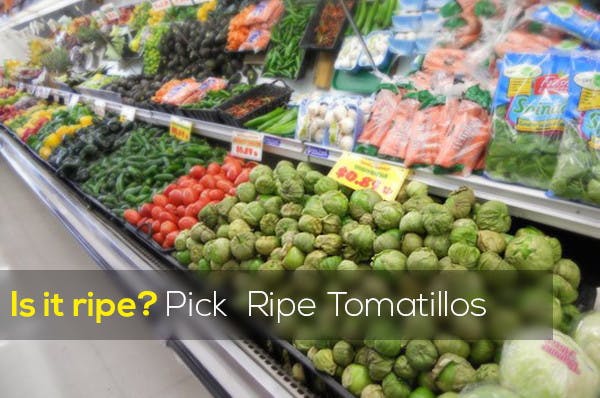 How to Choose Ripe Tomatillos