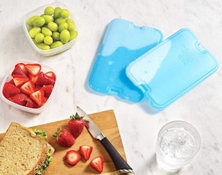 large ice packs on a table with food