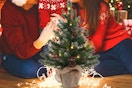 a family near a mini christmas tree