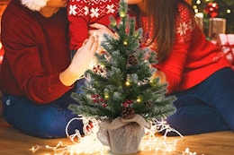 a family near a mini christmas tree