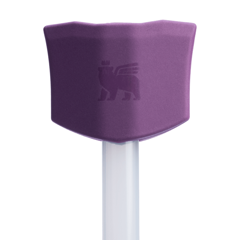 Stanley Straw Topper 2-Pack