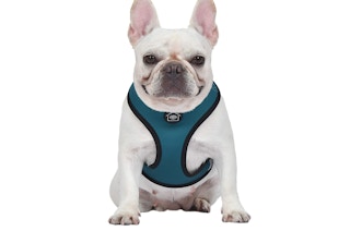 onathan Adler: Now House for Pets Reversible Harness