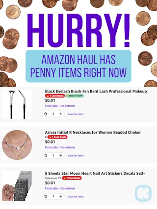 Amazon Haul penny items
