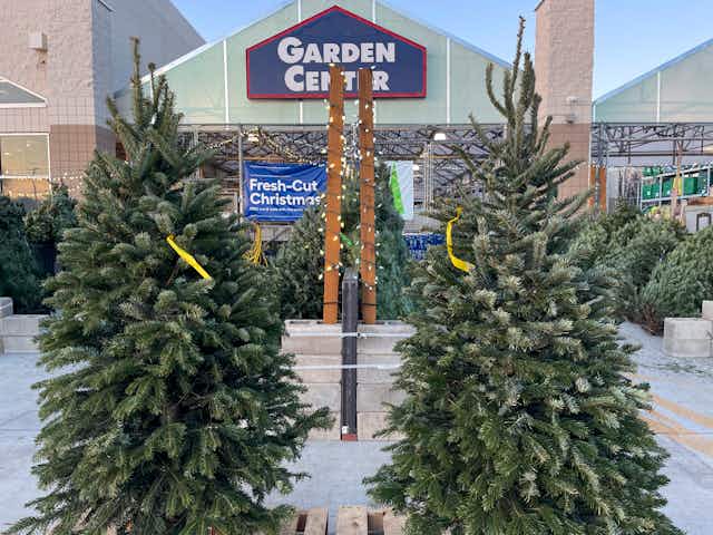 25% Off Fresh Cut Christmas Trees at Lowe’s card image