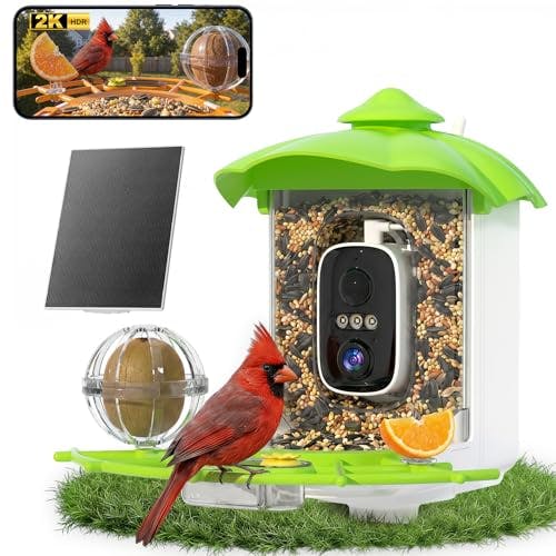 Bird Feeder With Camera