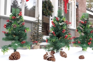 bcp trees