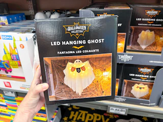 aldi-finds-9