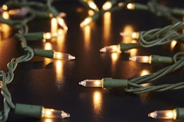strings of clear christmas lights on green wire