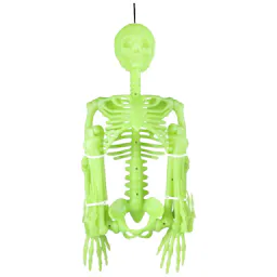 Glow in the Dark Skeleton