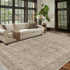Washable Area Rug
