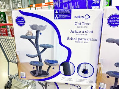 Catry Cat Flower Tree