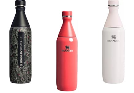 Stanley Slim Bottle