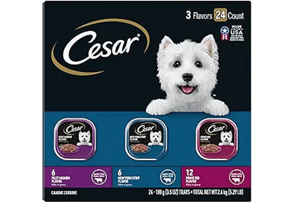 Cesar Filets Wet Dog Food