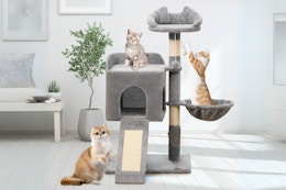 Get This $65 Cat Tree for Just $25 With Amazon Promotions card image
