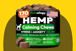 Calming Hemp Chews for Dogs, as Low as $13 for Amazon Pet Day (Reg. $31) card image